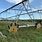 Used Valley Pivot for Sale