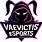 VaeVictis eSports