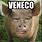 Veneco Meme