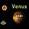 Venus Song