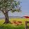 Vintage Apple Tree Painting