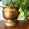 Vintage Brass Planter Pot