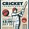 Vintage Cricket Poster