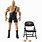 WWE Action Figure Collections