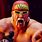 WWE Immortals Hulk Hogan