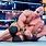 WWE John Cena Match