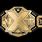 WWE NXT Title Belt