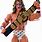 WWE Ultimate Warrior Toy