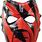 WWE Wrestling Mask