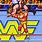 WWF Arcade Game