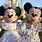 Walt Disney World Mickey and Minnie Mouse