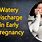 Watery Discharge Early Pregnancy