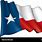 Wavy Texas Flag