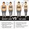 Weight Loss Body Fat