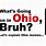 What Are Ohio Memes