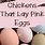 What Chicken Lays Pink Eggs