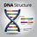 What Is DNA CSS 11
