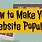 What Makes a Website Popular