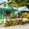 Where to Stay in Key West