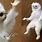 White Cat Meme Monkey Hands
