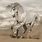 White Horse Images HD