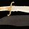 Whitetail Cutlery Bowie Knife