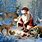 Wild Animal Christmas Wallpaper