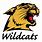 Wildcats Logo SVG