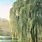 Willow Tree Painting