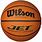 Wilson Jet Basketball