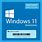 Windows 11 License