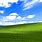 Windows XP Grass Hill Wallpaper