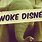 Woke Disney World