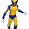 Wolverine Outfit