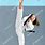 Woman Karate Kick