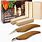 Wood Carving Kits for Beginners