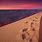 World's Largest Sand Dune