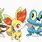 X and Y Starters