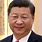 Xi Jinping Hair