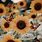 Yellow Sunflower Aesthetic Wallpaper iPhone