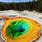 Yellowstone Pics