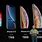 iPhone X Versions