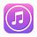 iPhone iTunes Icon