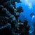 Deepest Sea On Earth
