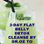 Flat Belly Detox Water
