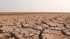 Close up shot of barren dry soil in Kutch desert at Little Rann of Kutch, Gujarat, India. Cracked soil caused by long draught. Soil drought concept - lack of water, climate change, global warming.