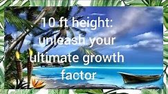 10ft height : unleash your ultimate growth factor