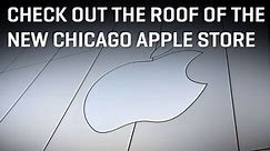 Check Out the Roof of the New Chicago Apple Store