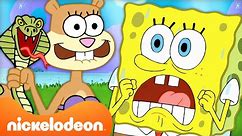 30 Minutes Of SpongeBob & Sandy’s TREEDOME TROUBLE | Nickelodeon Cartoon Universe