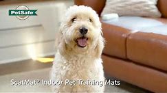 PetSafe® ScatMat® Indoor Training Mat